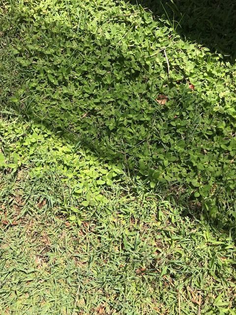 IMG_9658.JPG IMG_9658.JPG