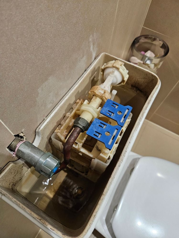 20250821_083029.jpg 20250821_083029.jpg