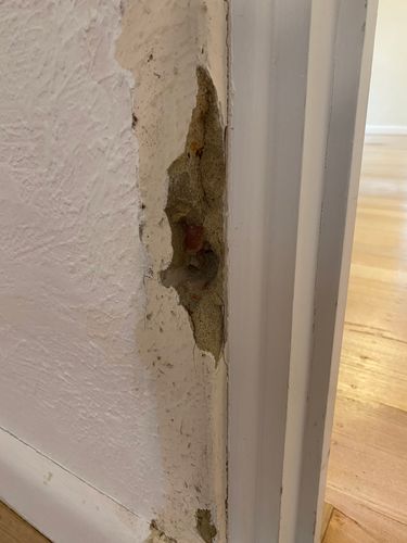 IMG_7747.jpeg IMG_7747.jpeg