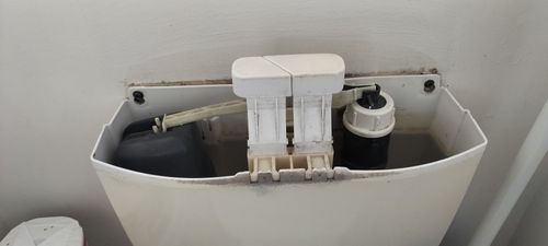 IMG20240723151345.jpg IMG20240723151345.jpg