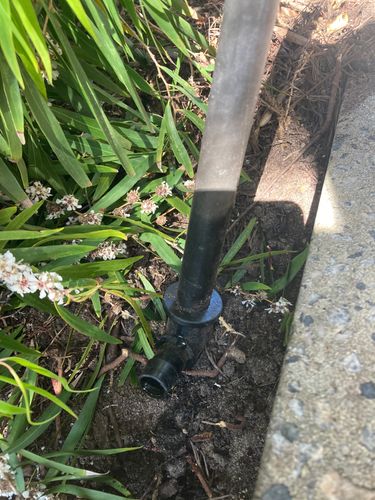 IMG_3640.jpeg IMG_3640.jpeg