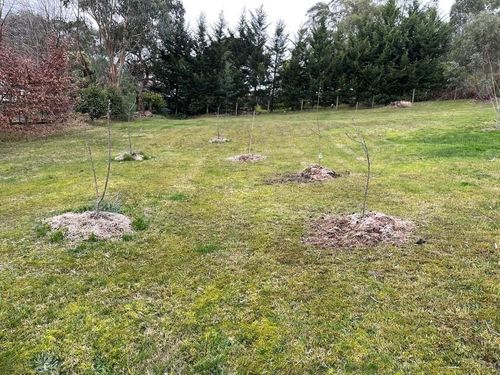 937BEC66-07B6-4852-9692-C8240B0E83AC.jpeg 937BEC66-07B6-4852-9692-C8240B0E83AC.jpeg