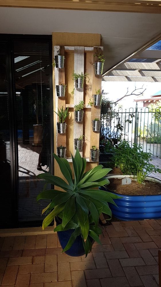 20170721_152014.jpg 20170721_152014.jpg