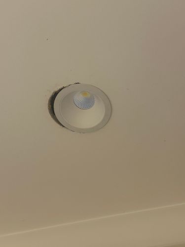 IMG_4301.jpeg IMG_4301.jpeg