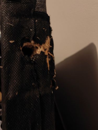 IMG20240929133646.jpg IMG20240929133646.jpg