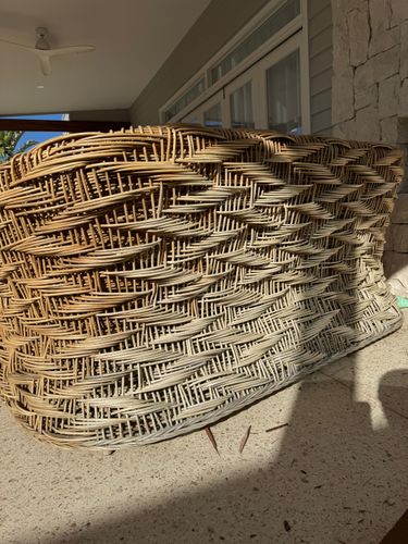 IMG_7008.jpeg IMG_7008.jpeg