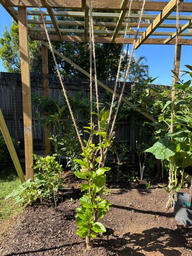 IMG_9263.jpeg IMG_9263.jpeg