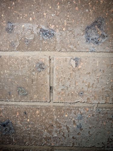 1000049628.jpg 1000049628.jpg