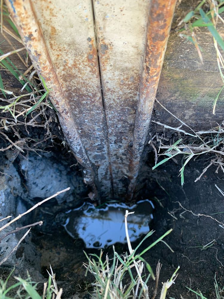 IMG_1467.jpg IMG_1467.jpg