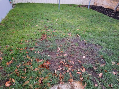 1000004169.jpg 1000004169.jpg