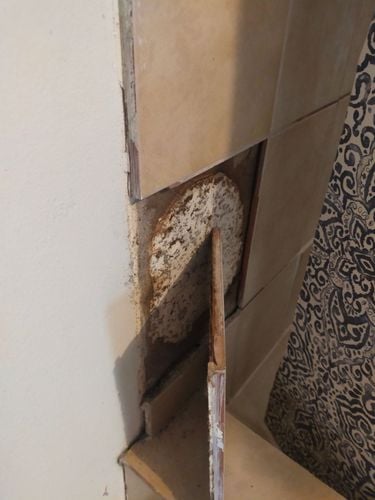 IMG20250127074120.jpg IMG20250127074120.jpg