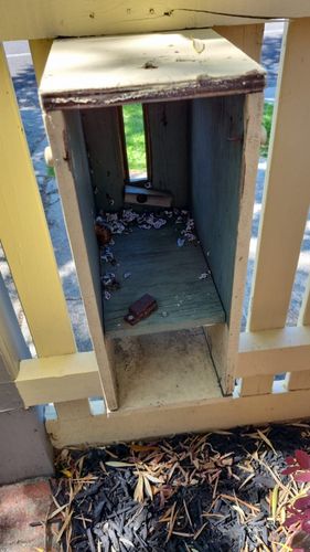 IMG-20221217-WA0009.jpg IMG-20221217-WA0009.jpg