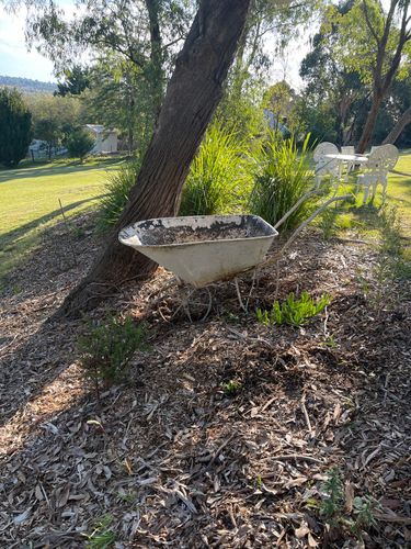 068E8532-AB55-4D66-A4B4-222E91116B8F.jpeg 068E8532-AB55-4D66-A4B4-222E91116B8F.jpeg