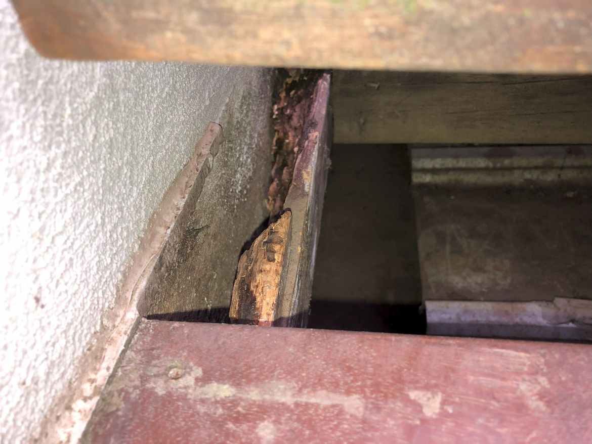 IMG_3097.jpg IMG_3097.jpg