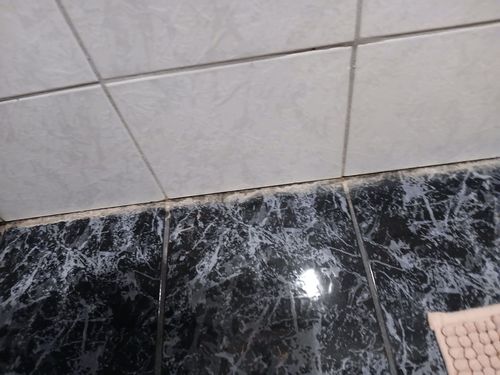 20251105_081639.jpg 20251105_081639.jpg