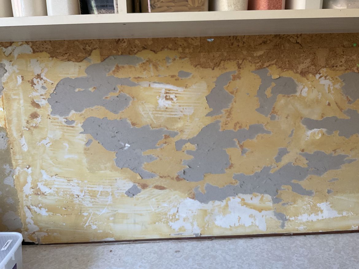 IMG_0144.jpeg IMG_0144.jpeg