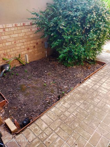 IMG20230128085847.jpg IMG20230128085847.jpg