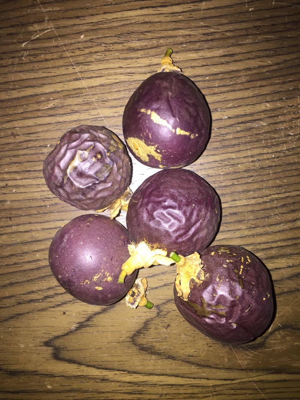 16593391_10154070771837434_401891523_o.jpg 16593391_10154070771837434_401891523_o.jpg