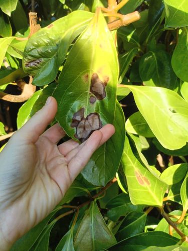 1000024875.jpg 1000024875.jpg