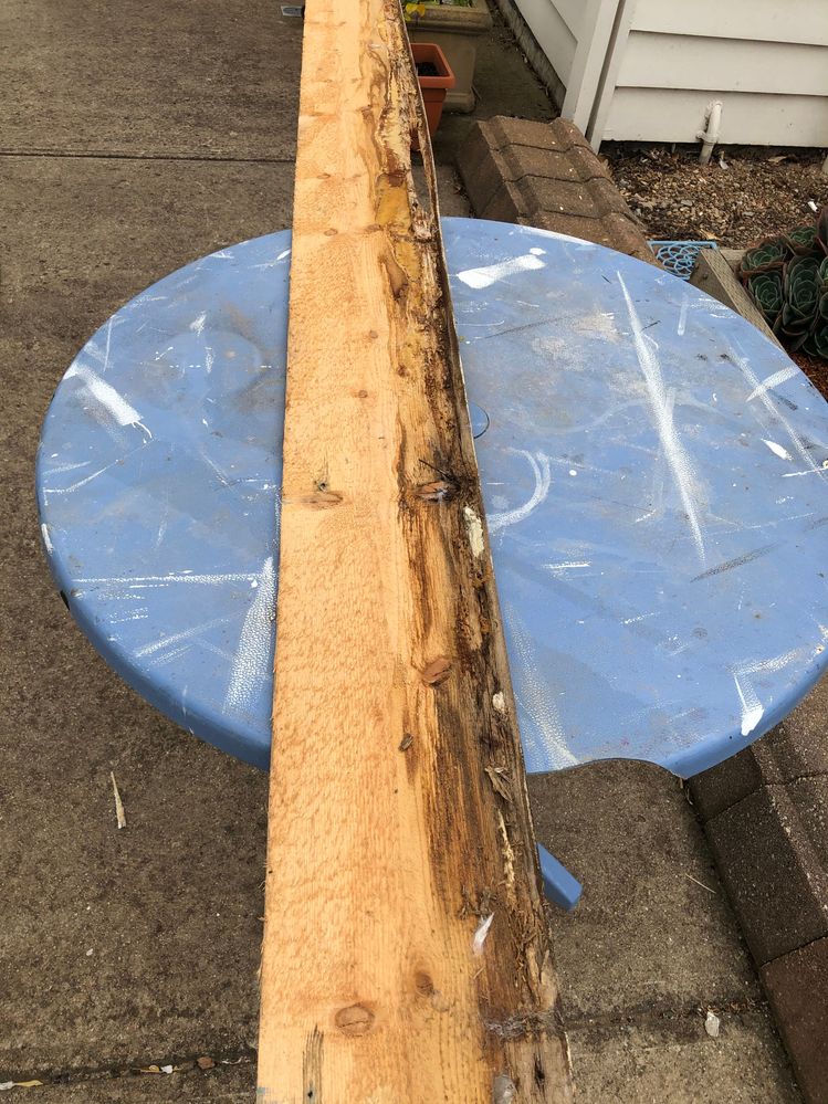 ICKP1630F.JPG ICKP1630F.JPG