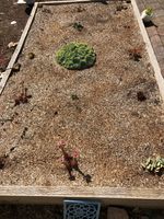 IMG_7198.JPG IMG_7198.JPG