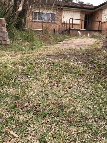 03 13-08-2023.jpg 03 13-08-2023.jpg