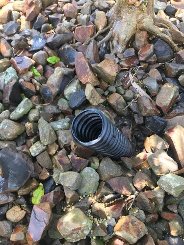 F02C5B82-EF73-4E4E-849B-86C6D7135C82.jpeg F02C5B82-EF73-4E4E-849B-86C6D7135C82.jpeg