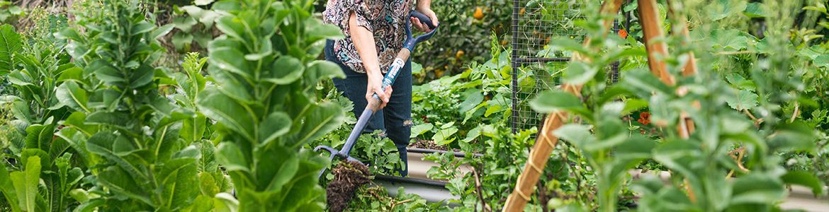 GardenJobs.jpg GardenJobs.jpg