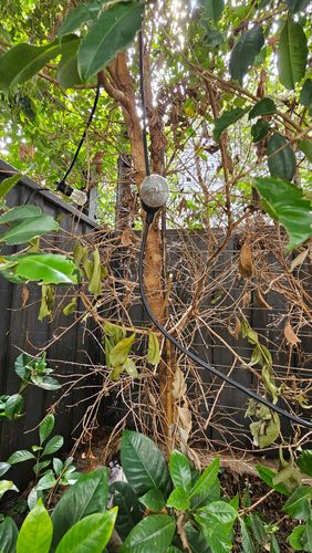 1000023883.jpg 1000023883.jpg