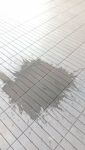 IMG_20240902_163708.jpg IMG_20240902_163708.jpg