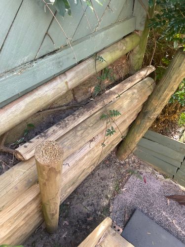 IMG_0265.jpeg IMG_0265.jpeg