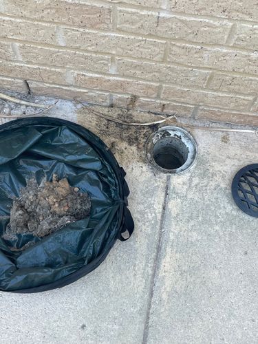 IMG_5501.jpeg IMG_5501.jpeg