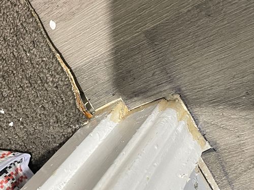 IMG_8688.jpeg IMG_8688.jpeg