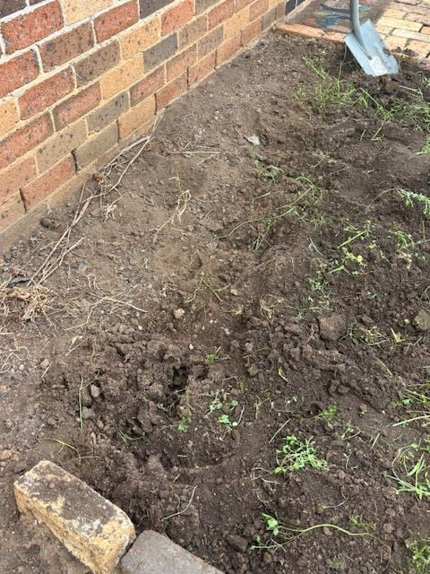 IMG_1579.jpg IMG_1579.jpg