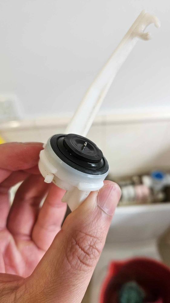 seal 2.jpg seal 2.jpg