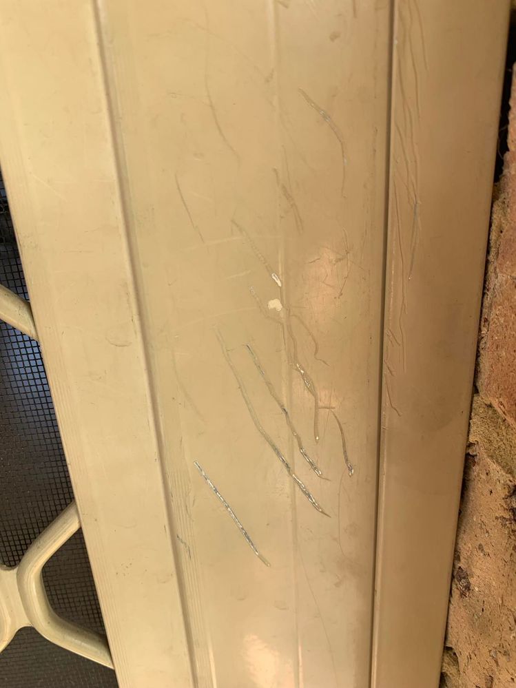 385522772_342816755164716_5027025571155859277_n.jpg 385522772_342816755164716_5027025571155859277_n.jpg