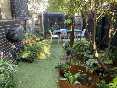 IMG_3786.JPG IMG_3786.JPG