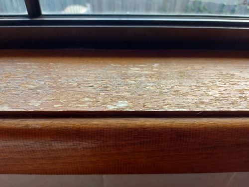 20210509_142321.jpg 20210509_142321.jpg