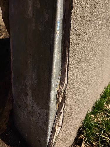 IMG_3498.jpeg IMG_3498.jpeg