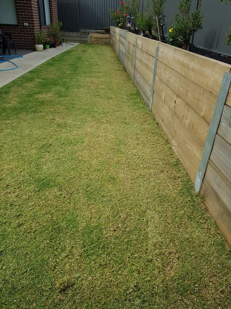 WhatsApp Image 2021-03-01 at 11.32.52 PM.jpeg WhatsApp Image 2021-03-01 at 11.32.52 PM.jpeg