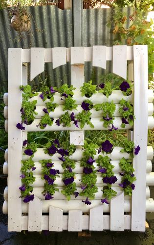 7EEBAC7B-7A37-4F5A-B32F-80EFE4BC09DA.jpeg 7EEBAC7B-7A37-4F5A-B32F-80EFE4BC09DA.jpeg