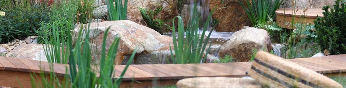 GardenMakeover.jpg GardenMakeover.jpg