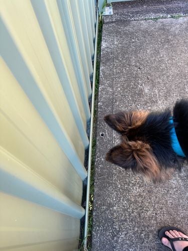 IMG_0025.jpeg IMG_0025.jpeg