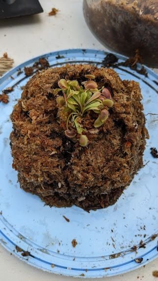 PXL_20240727_053615491.jpg PXL_20240727_053615491.jpg