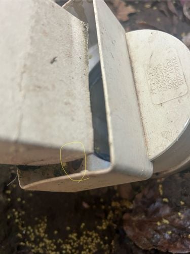 IMG_1731.jpg IMG_1731.jpg