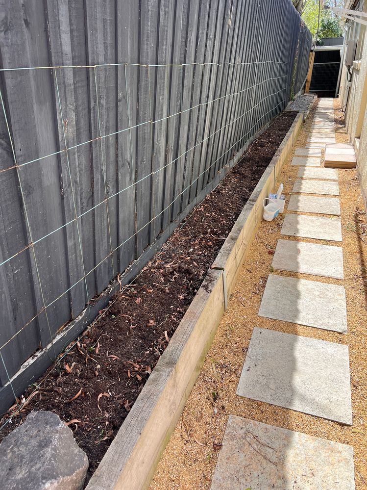 IMG_9556.jpeg IMG_9556.jpeg