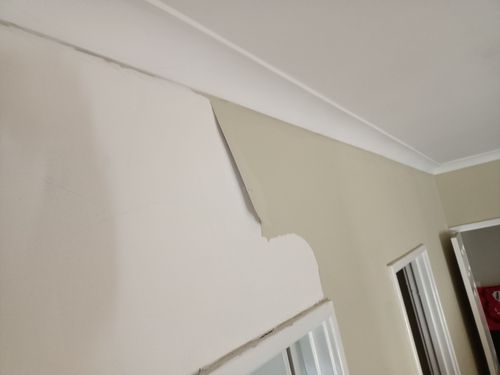 IMG20220309072442.jpg IMG20220309072442.jpg