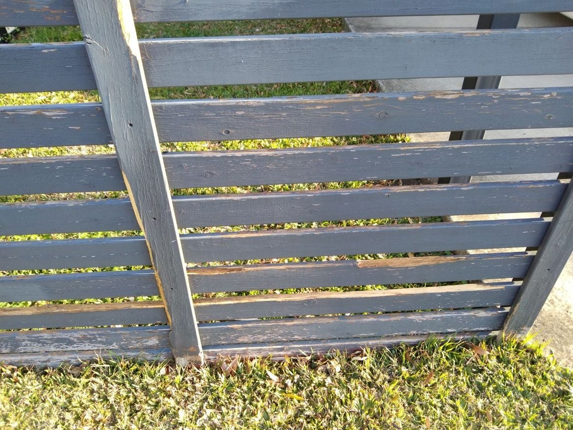 front fence 2.jpg front fence 2.jpg