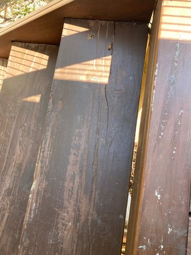 IMG_4749.jpeg IMG_4749.jpeg