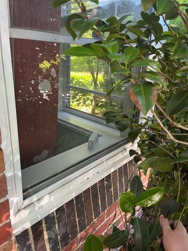 IMG_5584.jpeg IMG_5584.jpeg